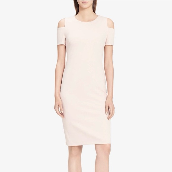Calvin Klein Petal Pastel Blush Light Pink Cold Shoulder Sheath Dress Size 6 - Picture 1 of 7